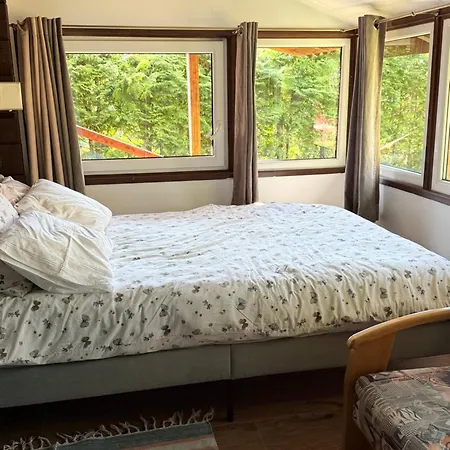 Lesny Zakatek W Bogaczewie Kolo Moraga Hébergement de vacances *